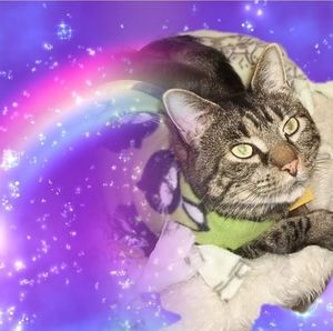 Meet your Posher, Crysania